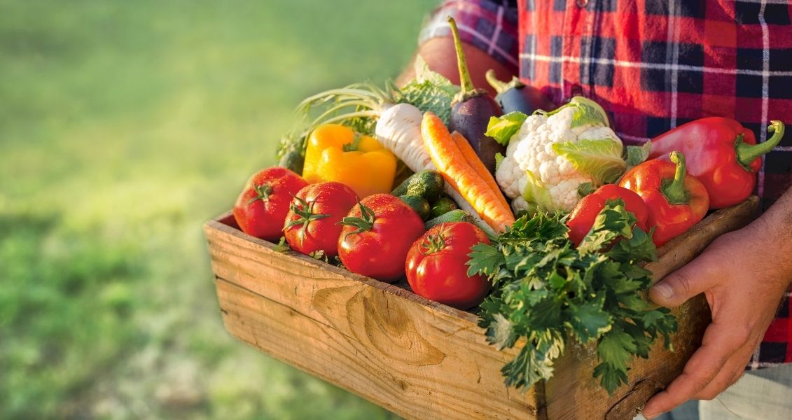 Mengenal Makanan dengan Proses Minimal dalam Kehidupan Sehari-hari